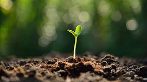 church planting image